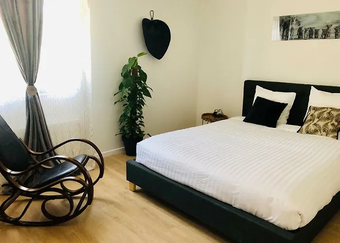 Birds Boran-sur-Oise