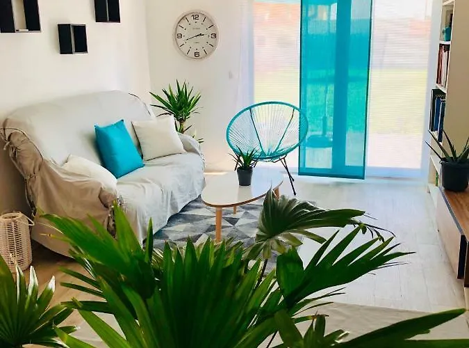 Birds * Boran-sur-Oise